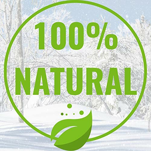 100% natuurlijk symbool met groene bladeren op winterachtergrond