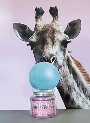 Giraffe blaast blauwe kauwgom bel