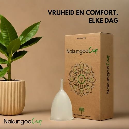 Menstruatiecup en doos naast plant