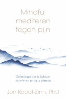 Mindful Mediteren Tegen Pijn